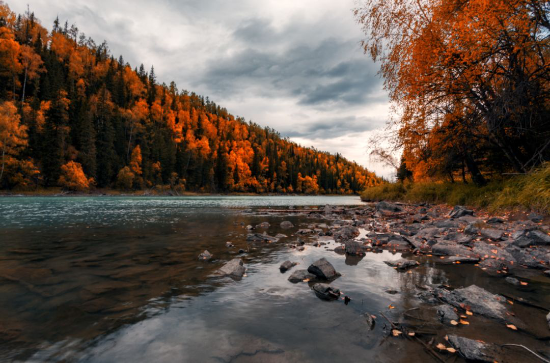 做自己的錦鯉！_騰凱融資租賃